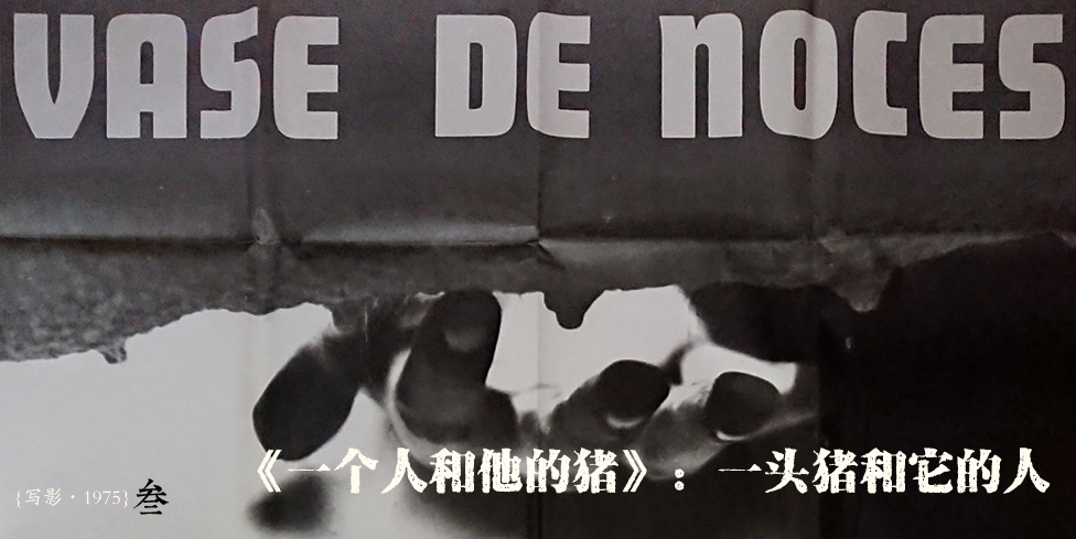 {写影·1975}叁：《一个人和他的猪》