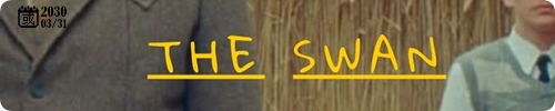 20231211.png