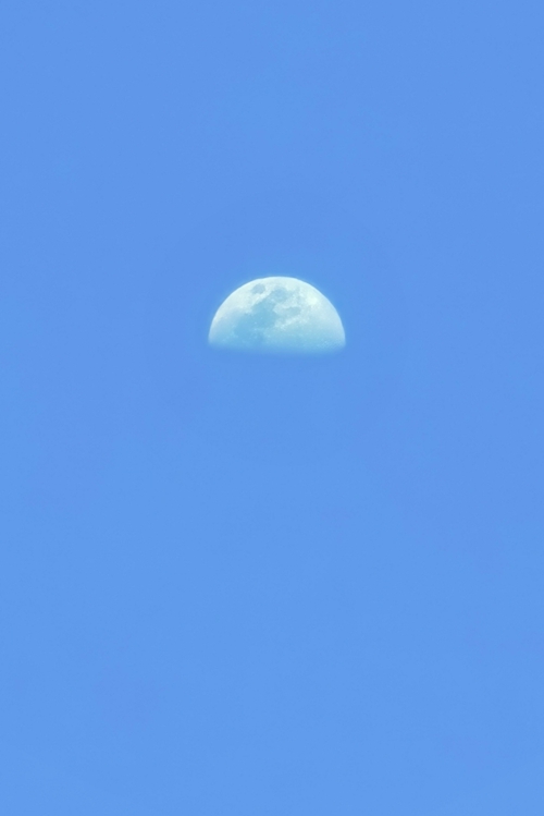 20240516-1.jpg